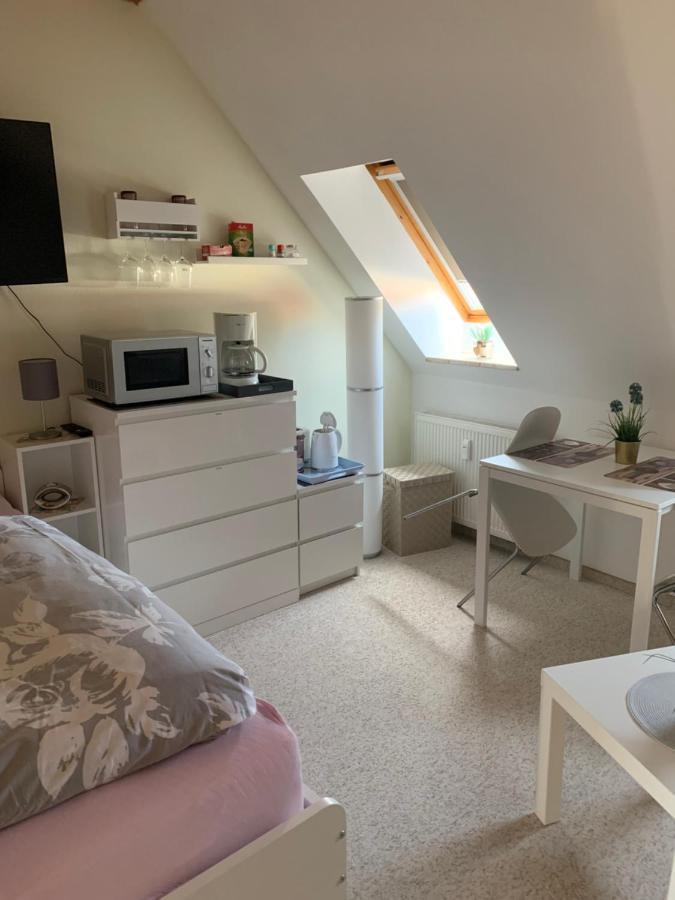Apartment Am Goethe Park Jena Buitenkant foto